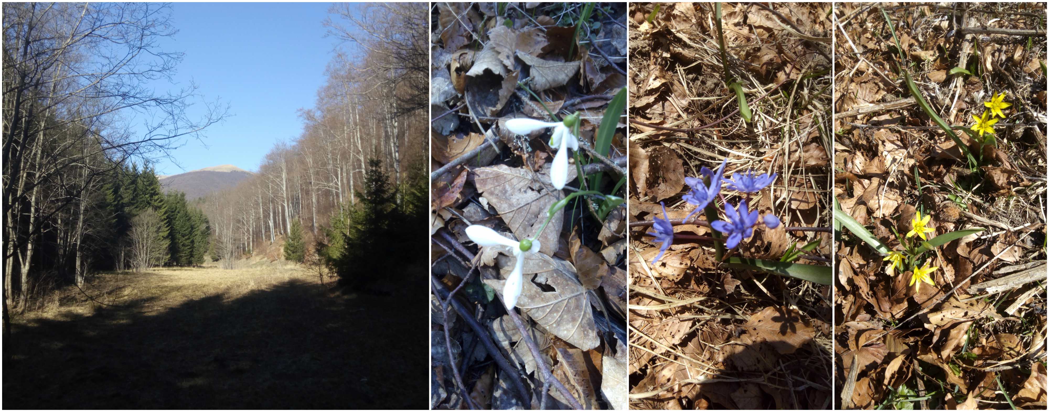 la poalele muntilor neamtului